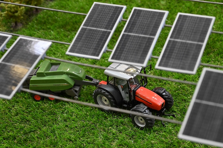 Italian state agency publishes agrivoltaic location map – pv magazine  International